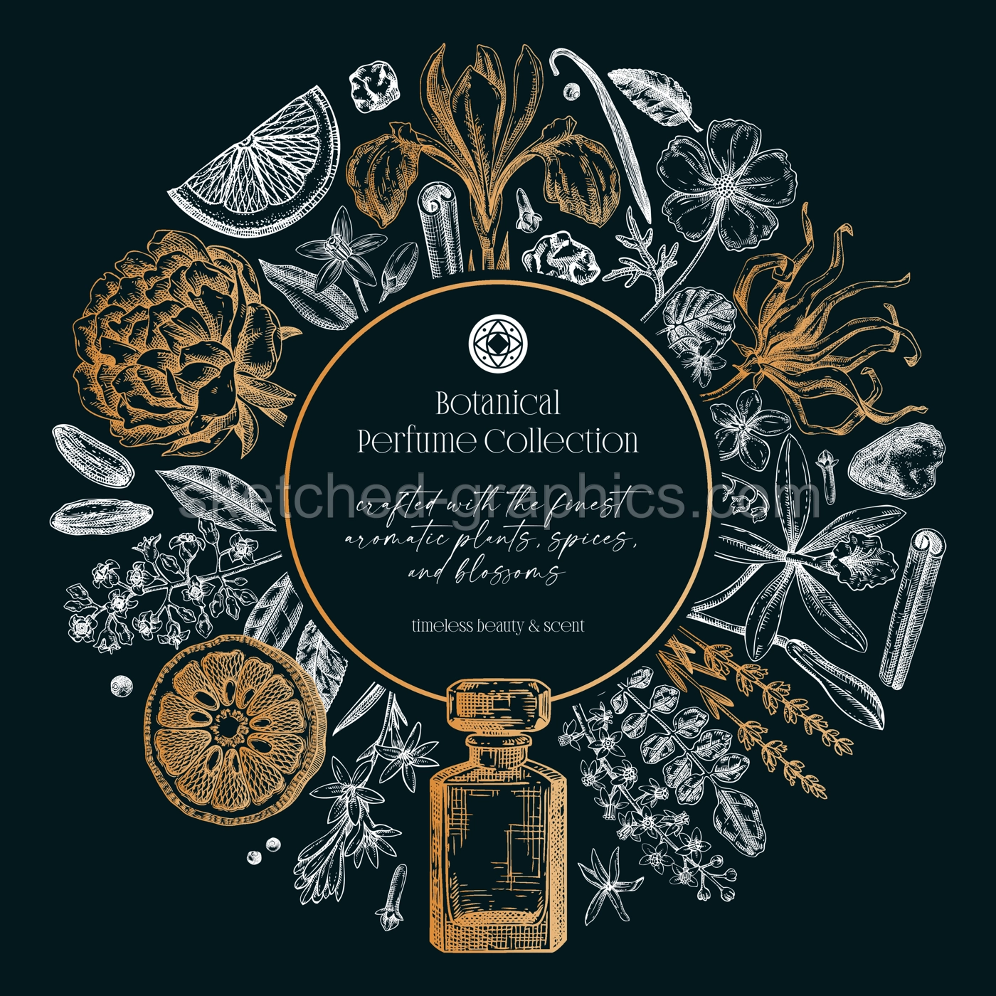 Sketch style botanical gift card template. Vintage perfume and cosmetic frame design. Hand-drawn vector illustration. Aromatic plants and flower sketches. NOT AI generated Illustration